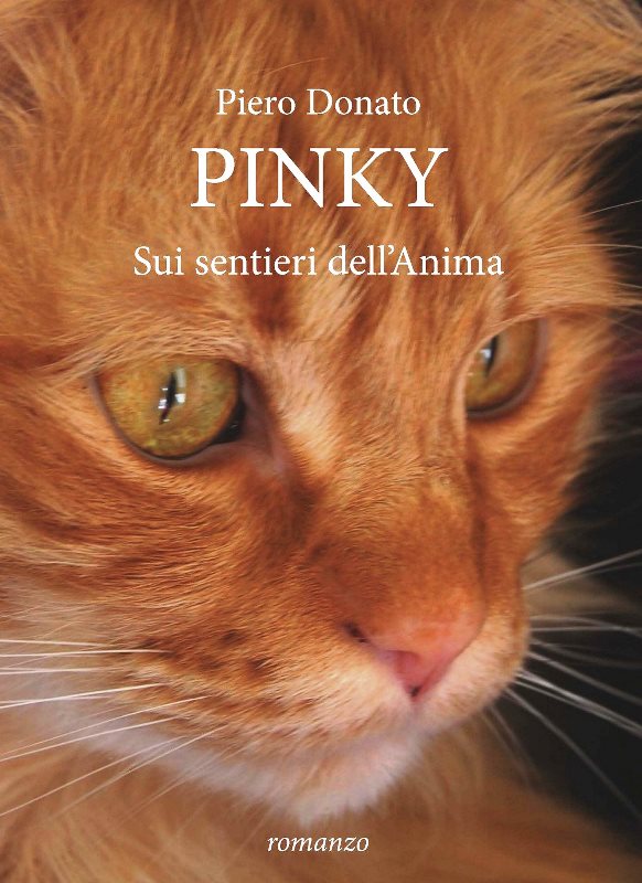 Recensione Pinky