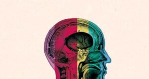 Recensione La vita emotiva del cervello Recensione La vita emotiva del cervello